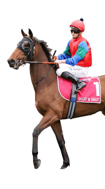 Sharp 'n' Smart (NZ) on the way to the barriers prior to the running of the Penfolds Victoria Derby at Flemington Racecourse on October 29, 2022 in Flemington, Australia. (Photo by George Sal/Racing Photos via Getty Images)