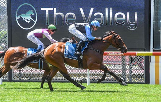 Croatian Belle ridden by Michael Dee wins the Summer Membership On Sale Now Handicap at Moonee Valley Racecourse on December 31, 2022 in Moonee Ponds, Australia. (Photo by Brett Holburt/Racing Photos)