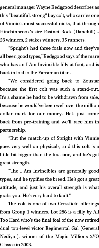 general manager Wayne Bedggood describes as this “beautiful, strong” bay colt, who carries one of Vinnie’s most succe...