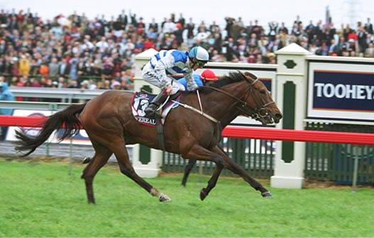 Scott Seamer & Sheila Laxon after Ethereal ridden by Seamer & trained by Laxon won the Melbourne Cup at Flemington on 6/11/2001 - photo by Martin King / Sportpix - copyright (612-94273904)