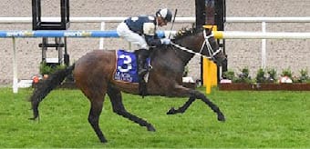 Sunsource ridden by Daniel Moor wins the Magic Millions Ballarat 2YO Classic at Ballarat Racecourse on November 19, 2022 in Ballarat, Australia. (Photo by Pat Scala/Racing Photos)