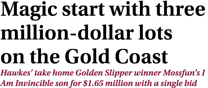 Magic start with three million-dollar lots on the Gold Coast Hawkes’ take home Golden Slipper winner Mossfun’s I Am I...