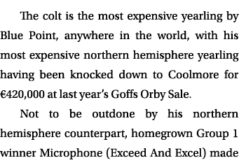 The colt is the most expensive yearling by Blue Point, anywhere in the world, with his most expensive northern hemisp...