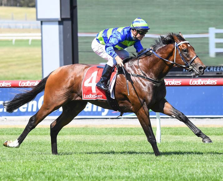 Attrition ridden by Jarrod Fry wins the Ladbrokes Surprise Leigh Plate at Ladbrokes Park Lakeside Racecourse on January 11, 2023 in Springvale, Australia. (Photo by Pat Scala/Racing Photos)