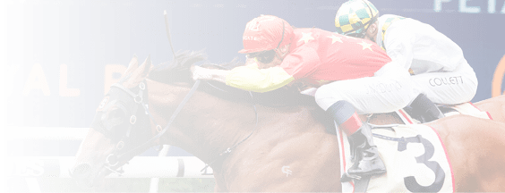 Don Corleone (James McDonald, outside, red cap) trained by Peter & Paul Snowden wins at Randwick on January 21, 2023 - photo by Martin King/Sportpix copyright