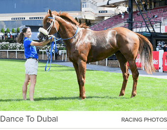 Dance To Dubai racing photo