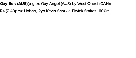 Oxy Bolt (AUS)(b g ex Oxy Angel (AUS) by West Quest (CAN)) R4 (2:40pm): Hobart, 2yo Kevin Sharkie Elwick Stakes, 1100m 