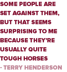 Some people are set against them, but that seems surprising to me because they’re usually quite tough horses - Terry ...