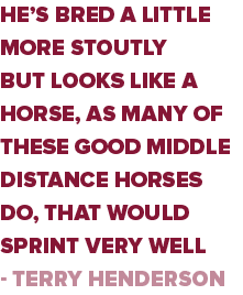 He’s bred a little more stoutly but looks like a horse, as many of these good middle distance horses do, that would s...