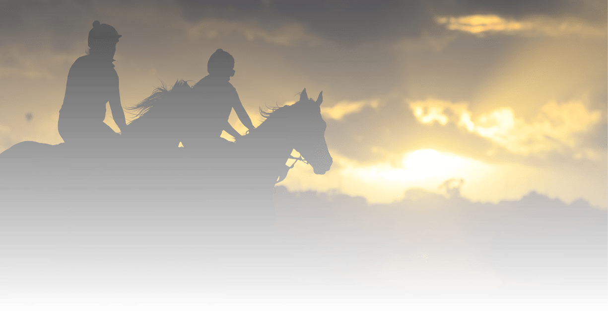 MELBOURNE, AUSTRALIA - FEBRUARY 16: General view of horse and riders during trackwork at Flemington Racecourse on February 16, 2018 in Melbourne, Australia.  (Photo by Vince Caligiuri/Getty Images)