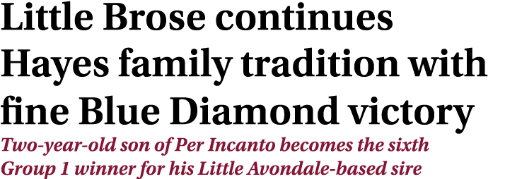Little Brose continues Hayes family tradition with fine Blue Diamond victory Two-year-old son of Per Incanto becomes ...