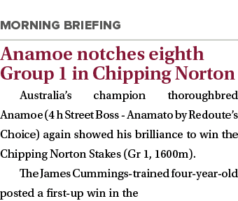  Anamoe notches eighth Group 1 in Chipping Norton Australia’s champion thoroughbred Anamoe (4 h Street Boss - Anamato...