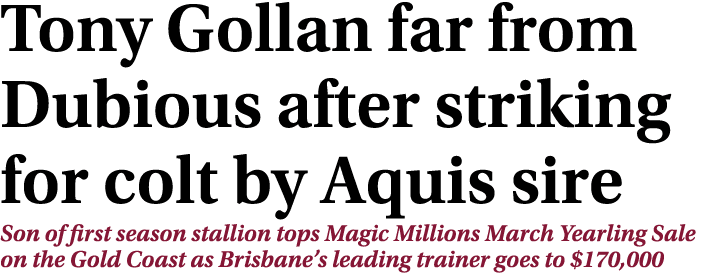 Tony Gollan far from Dubious after striking for colt by Aquis sire Son of first season stallion tops Magic Millions M...