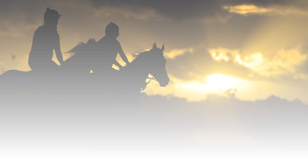 MELBOURNE, AUSTRALIA - FEBRUARY 16: General view of horse and riders during trackwork at Flemington Racecourse on February 16, 2018 in Melbourne, Australia.  (Photo by Vince Caligiuri/Getty Images)