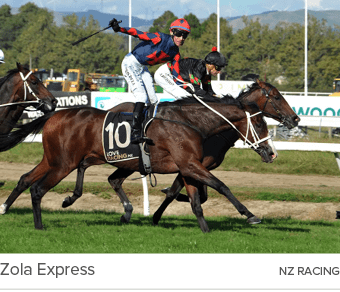 Zola Express nz racin