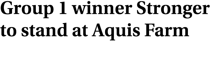 Group 1 winner Stronger to stand at Aquis Farm
