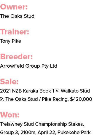 Owner: The Oaks Stud Trainer: Tony Pike Breeder: Arrowfield Group Pty Ltd Sale: 2021 NZB Karaka Book 1 V: Waikato Stu...