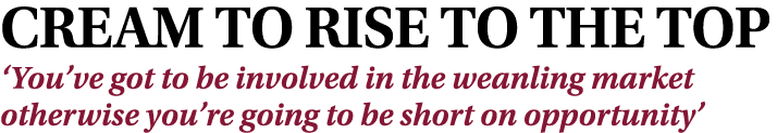 CREAM TO RISE TO THE TOP ‘You’ve got to be involved in the weanling market otherwise you’re going to be short on oppo...