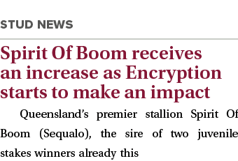 ￼ Spirit Of Boom receives an increase as Encryption starts to make an impact Queensland’s premier stallion Spirit Of ...