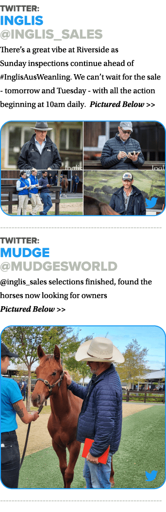 Twitter: Inglis @inglis_sales There’s a great vibe at Riverside as Sunday inspections continue ahead of #InglisAusWea...