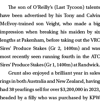 The son of O’Reilly’s (Last Tycoon) talents have been advertised by his Tony and Calvin McEvoy trained son Veight, wh...