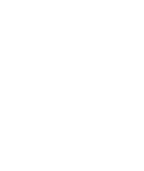 Haggas sees the broader picture of world horseracing