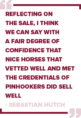Reflecting on the sale, I think we can say with a fair degree of confidence that nice horses that vetted well and met...