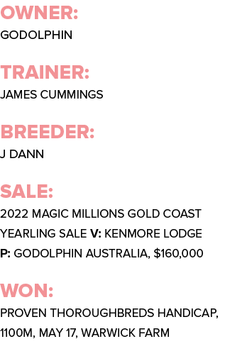 Owner: Godolphin Trainer: James Cummings Breeder: J Dann Sale: 2022 Magic Millions Gold Coast Yearling Sale V: Kenmo...