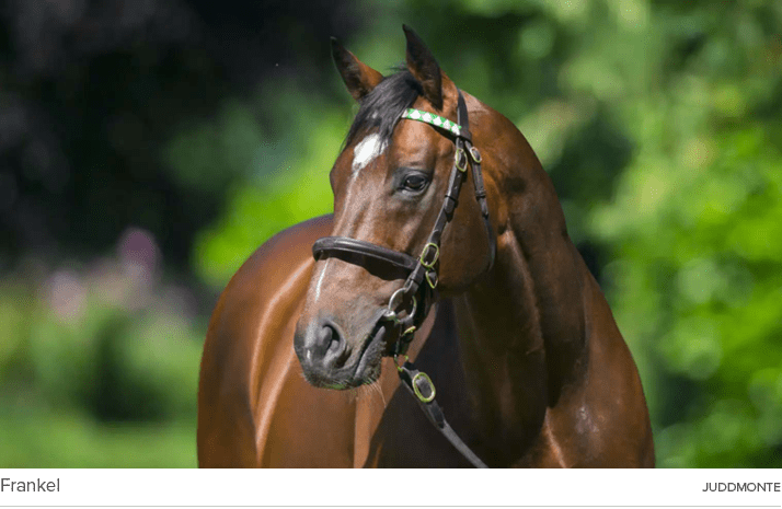 Frankel juddmont