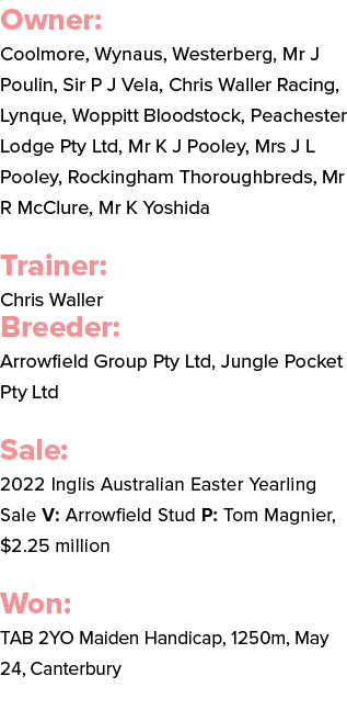 Owner: Coolmore, Wynaus, Westerberg, Mr J Poulin, Sir P J Vela, Chris Waller Racing, Lynque, Woppitt Bloodstock, Peac...