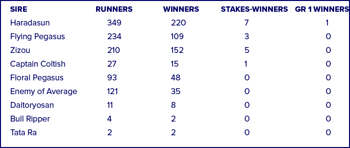 Sire Runners Winners Stakes winners GR 1 winners Haradasun 349 220 7 1 Flying Pegasus 234 109 3 0 Zizou 210 152 5 0 C...