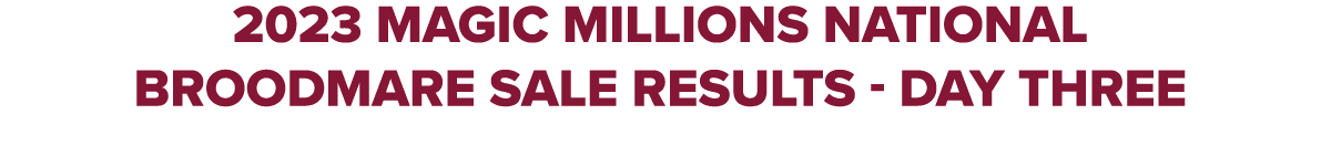 2023 MAGIC MILLIONS NATIONAL BROODMARE SALE RESULTS Day three 